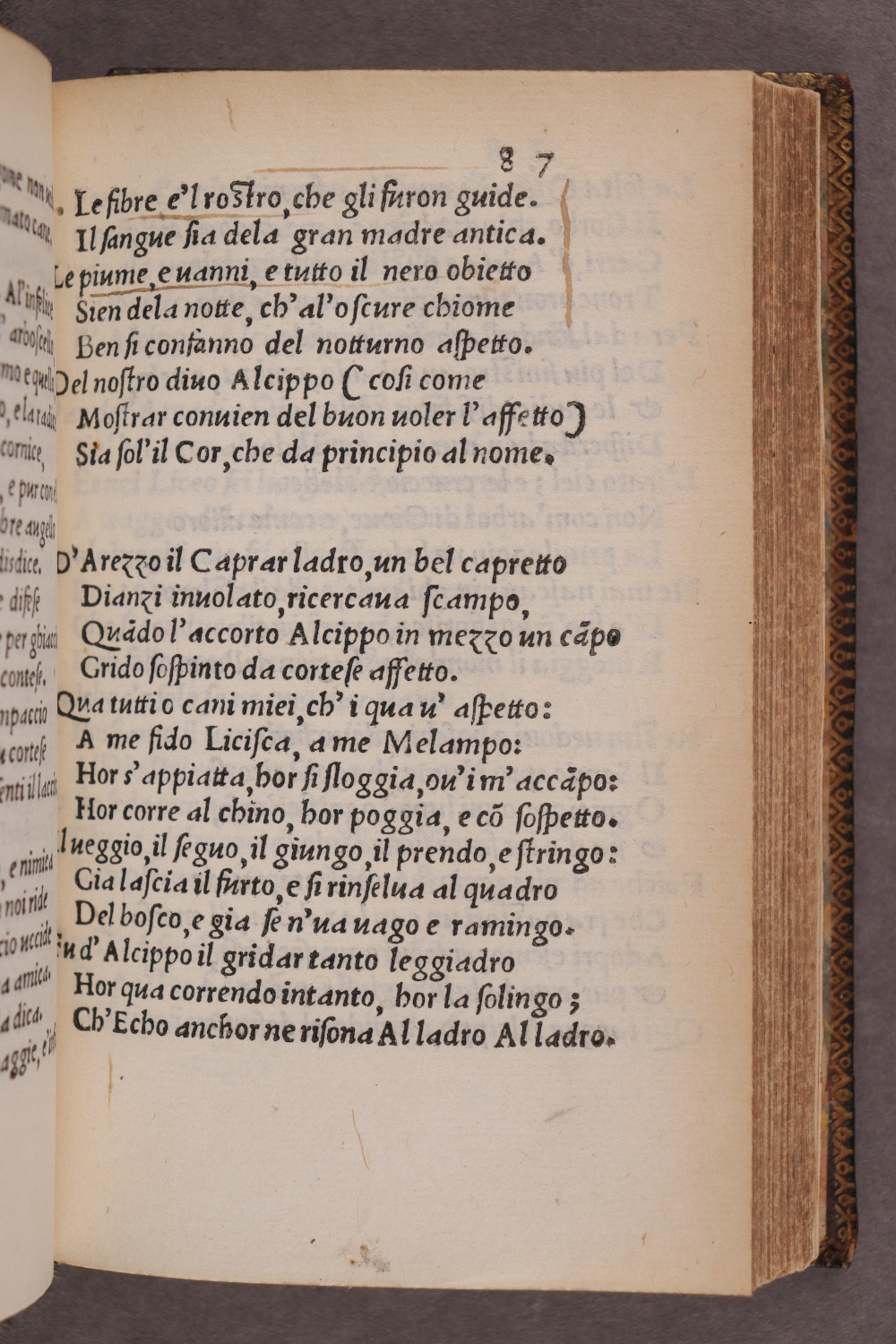 Folio 87 recto